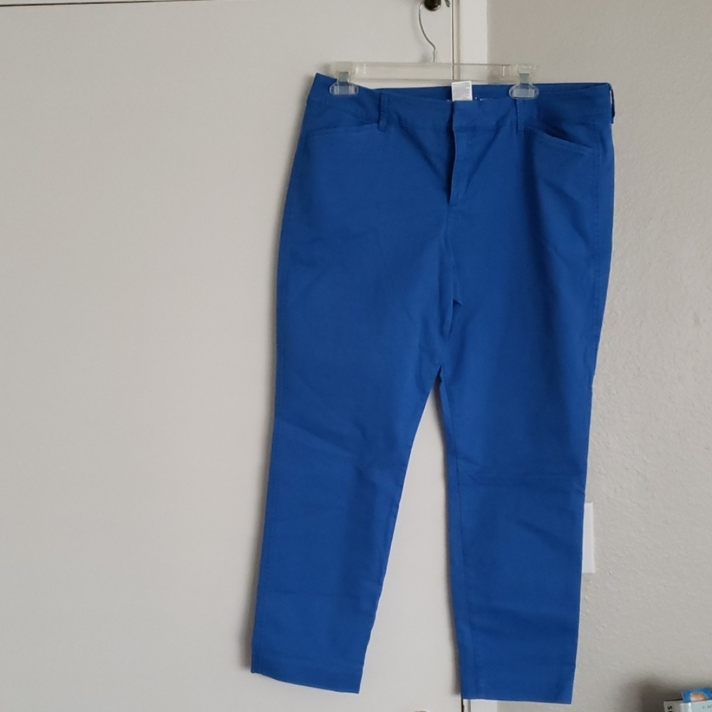 Cobalt Blue pixie pants